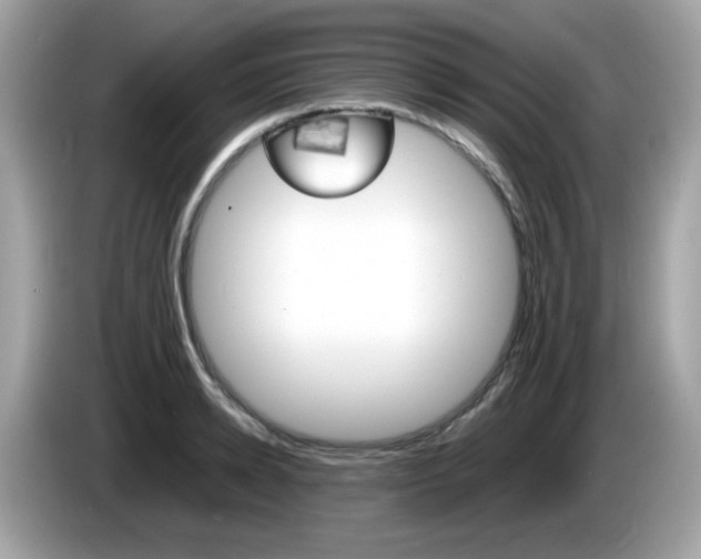 X0000086240942200703291002