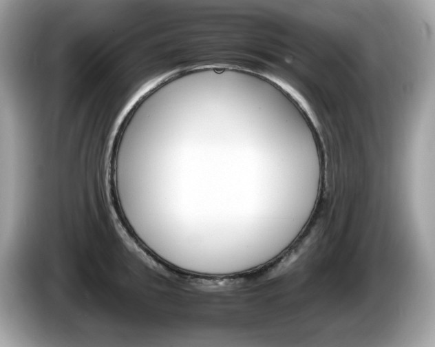 X0000086240949200703291002