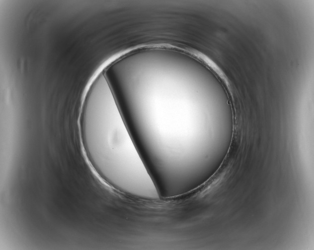 X0000086240951200703291002