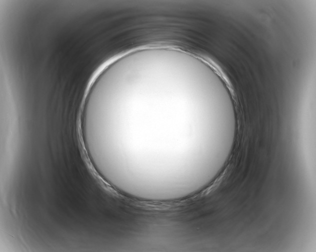 X0000086240952200703291002
