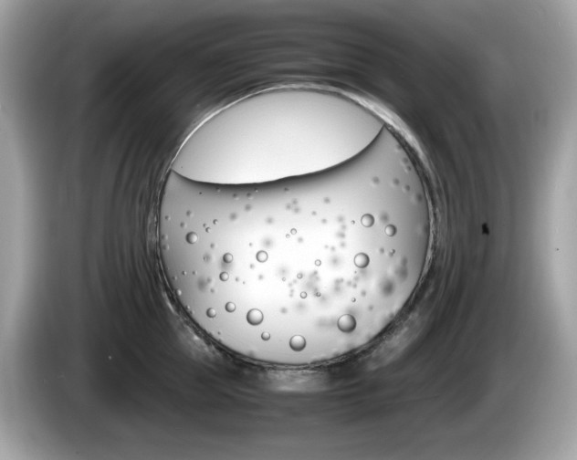 X0000086240953200703291002