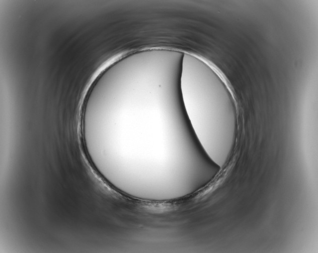 X0000086240957200703291002