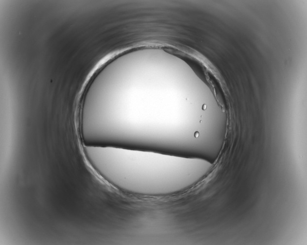 X0000086240958200703291002