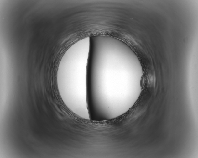 X0000086240964200703291002