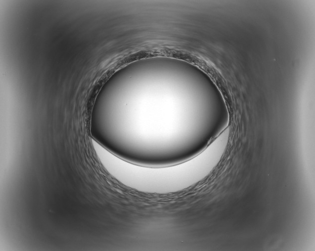 X0000086240965200703291002
