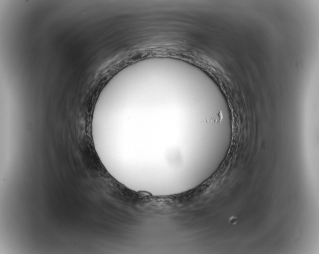 X0000086240966200703291002