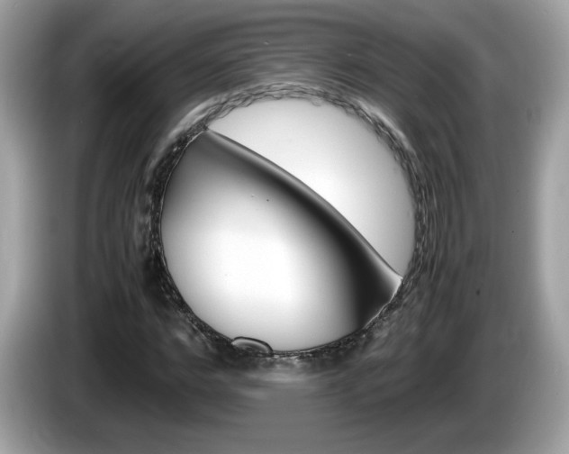 X0000086240968200703291002