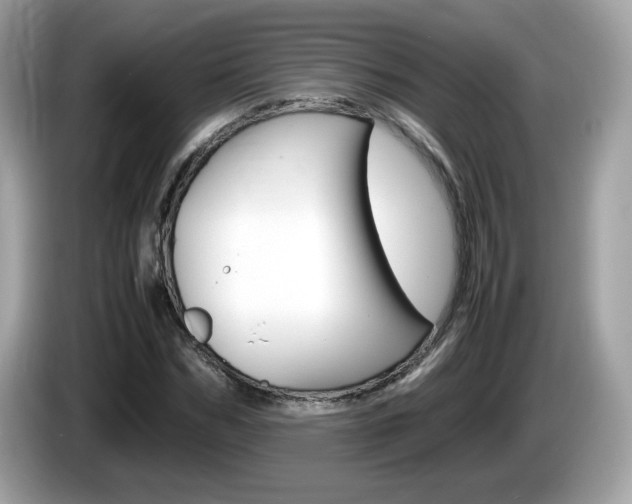 X0000086240970200703291002