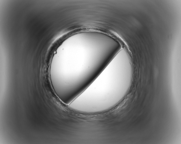 X0000086240971200703291002