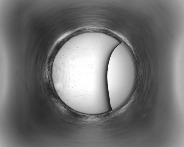 X0000086240974200703291001