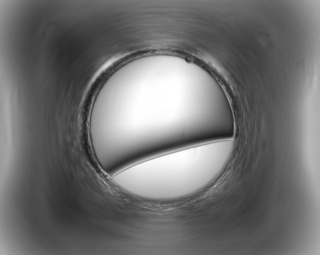 X0000086240975200703291001