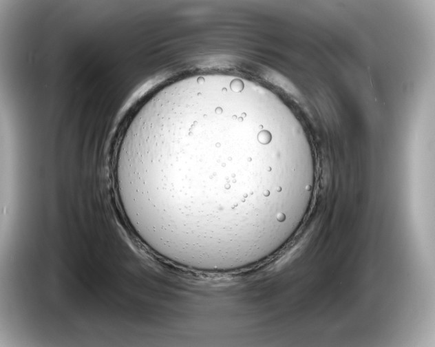 X0000086240978200703291001