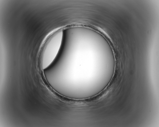 X0000086240979200703291001