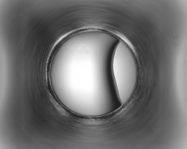 X0000086240980200703291001