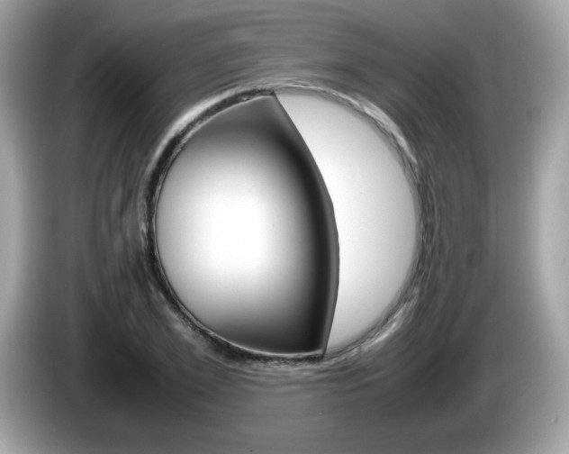 X0000086240981200703291001