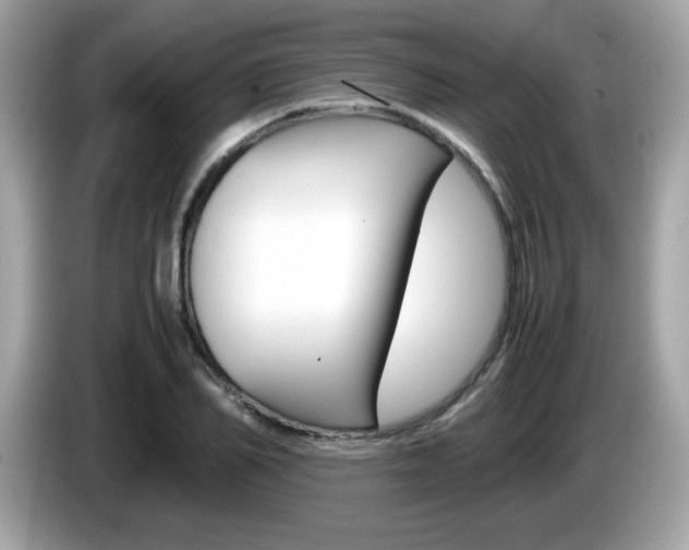 X0000086240982200703291001