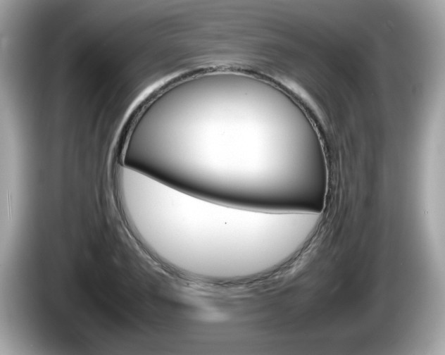X0000086240983200703291001