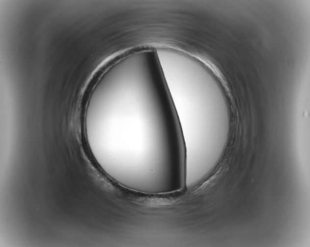 X0000086240984200703291001