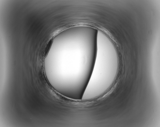 X0000086240985200703291001
