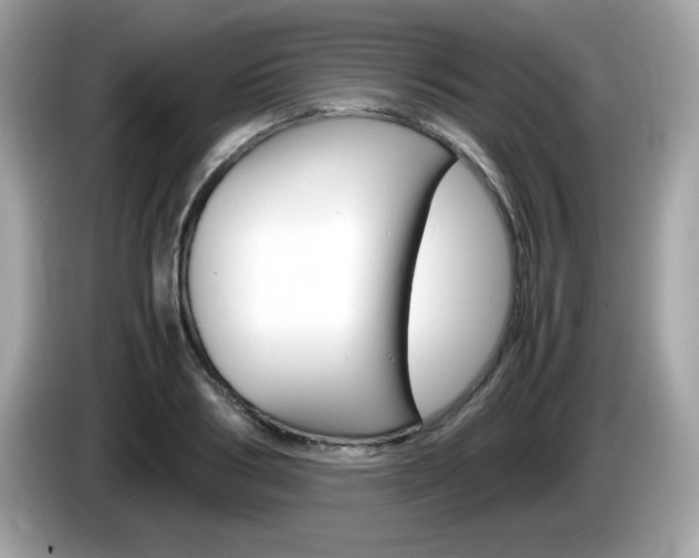 X0000086240986200703291001
