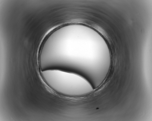 X0000086240988200703291001