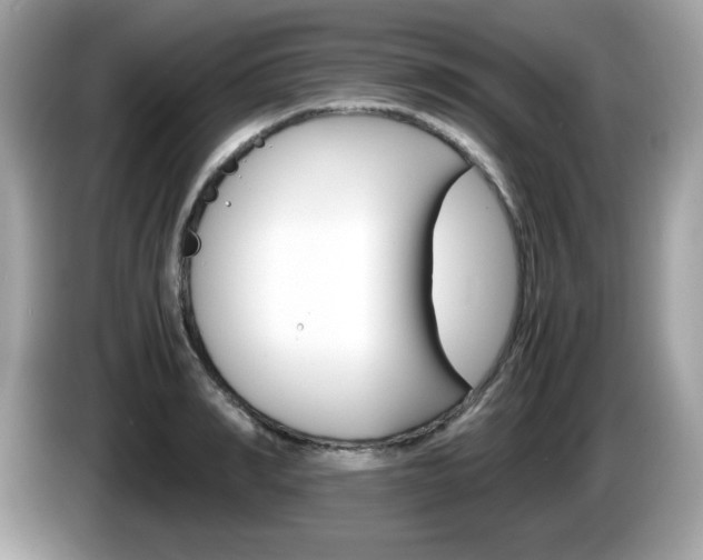 X0000086240990200703291001