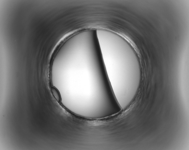 X0000086240992200703291001