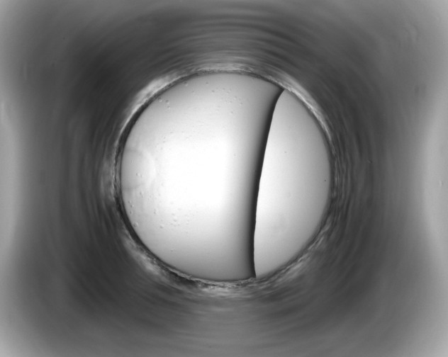 X0000086240994200703291001