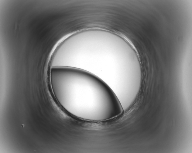 X0000086240995200703291001