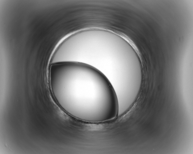 X0000086240996200703291001