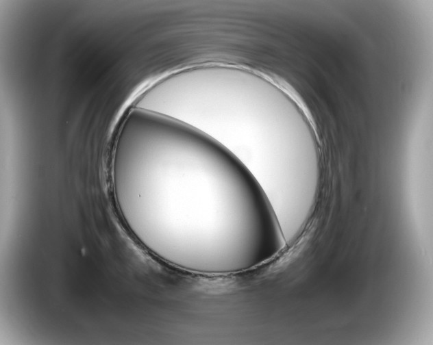X0000086240997200703291001