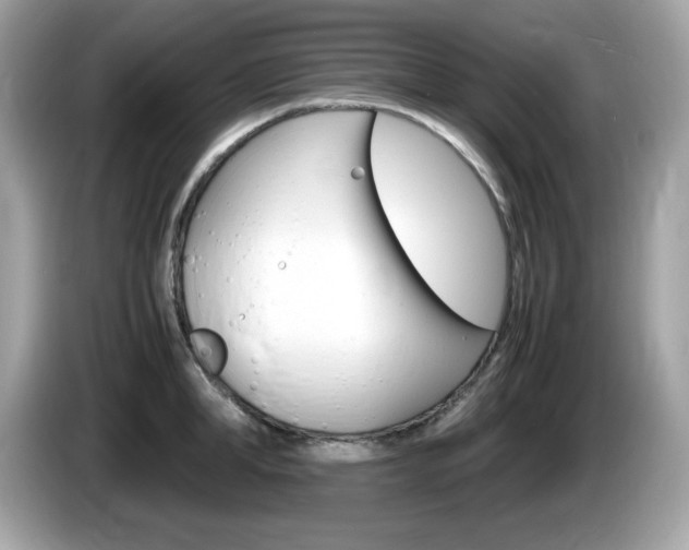 X0000086240998200703291001