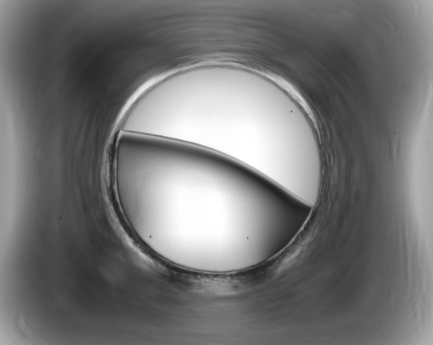X0000086240999200703291001