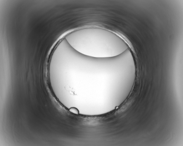 X0000086241000200703291001