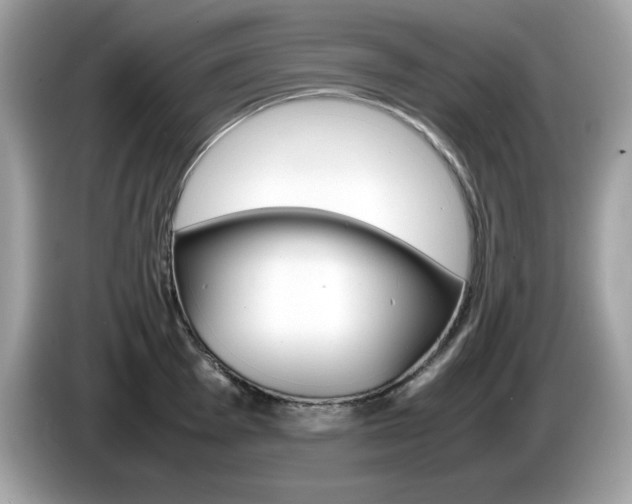 X0000086241001200703291001
