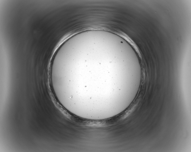 X0000086241002200703291001