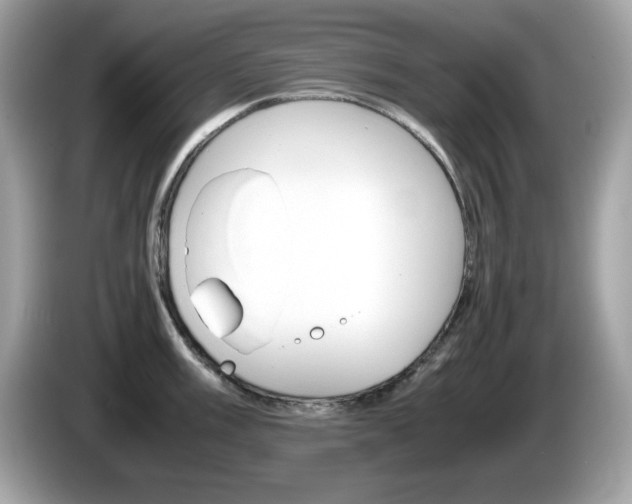 X0000086241003200703291001