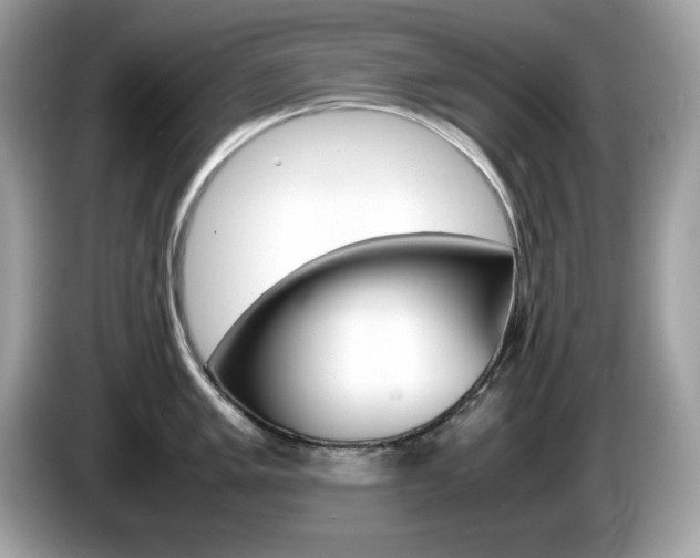 X0000086241005200703291001