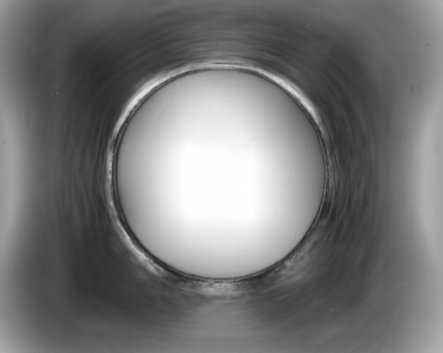 X0000086241006200703291001