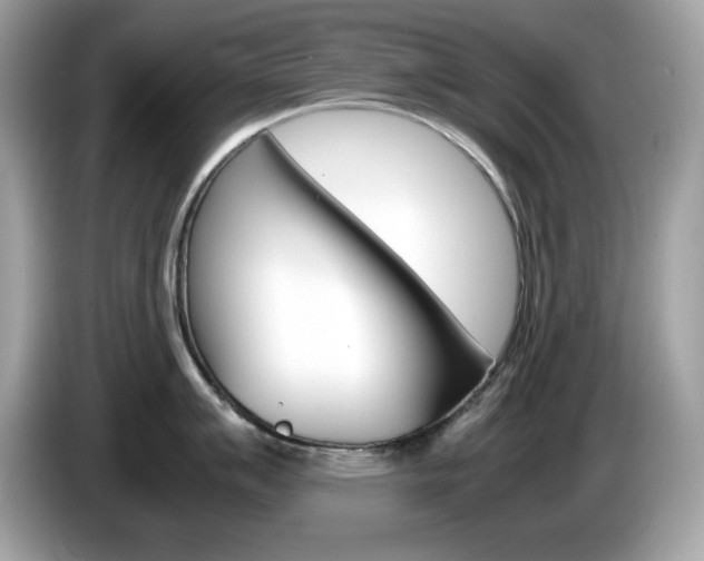X0000086241007200703291001