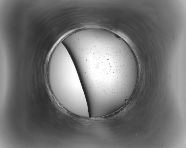 X0000086241008200703291001