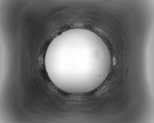 X0000086241011200703291000