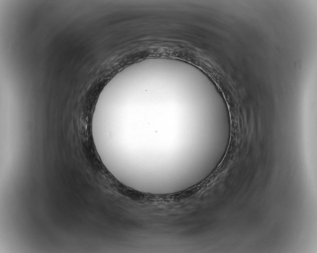 X0000086241013200703291000