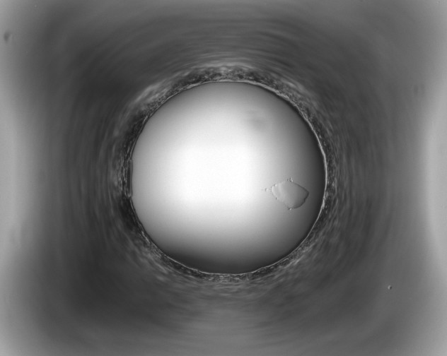 X0000086241014200703291000