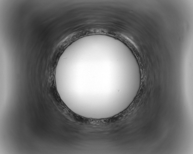 X0000086241015200703291000