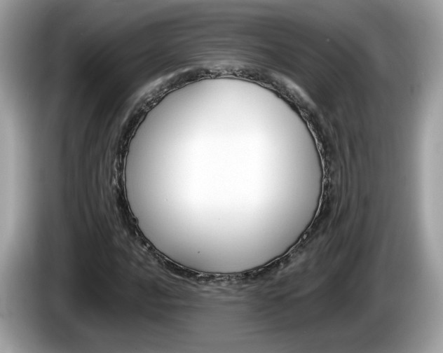 X0000086241016200703291000