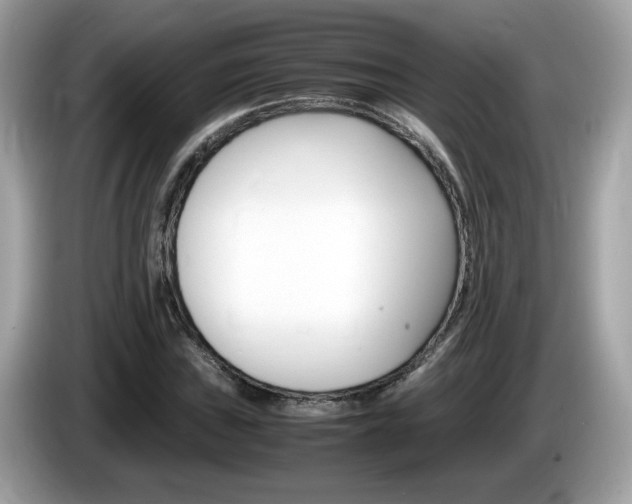 X0000086241019200703291000