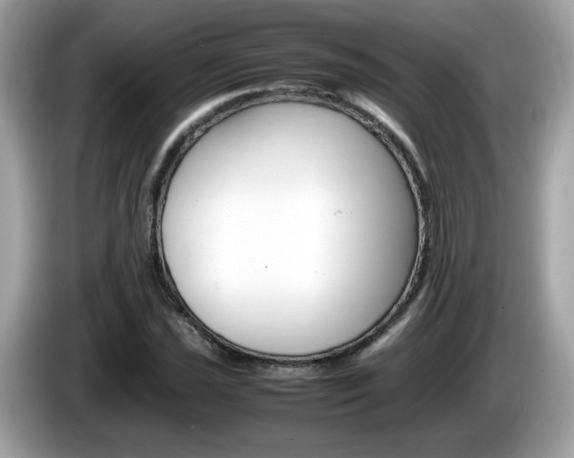X0000086241021200703291001