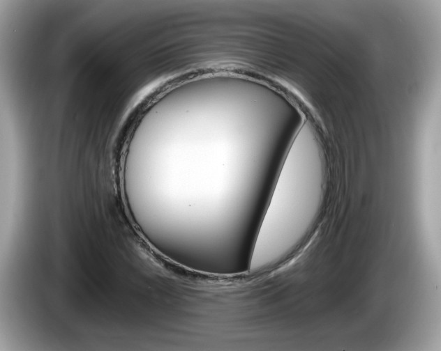 X0000086241022200703291001