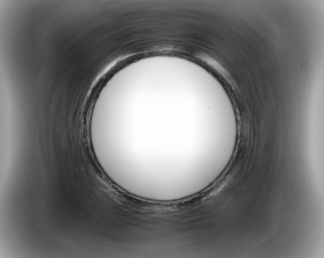 X0000086241023200703291001